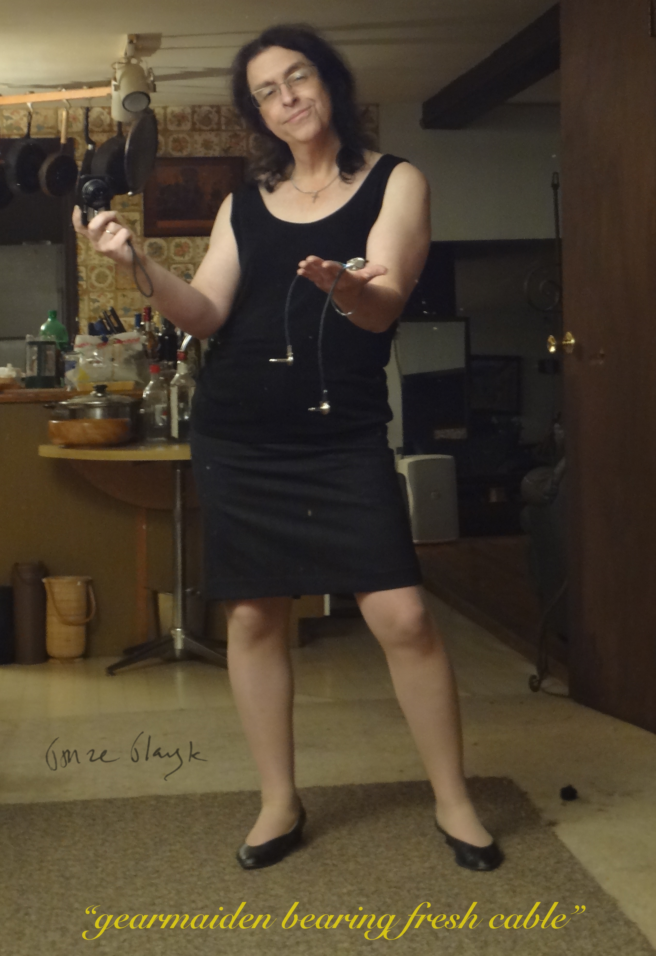 ./DSC01191 - gearmaiden bearing cable - 2014-08-27 - labeled.JPG